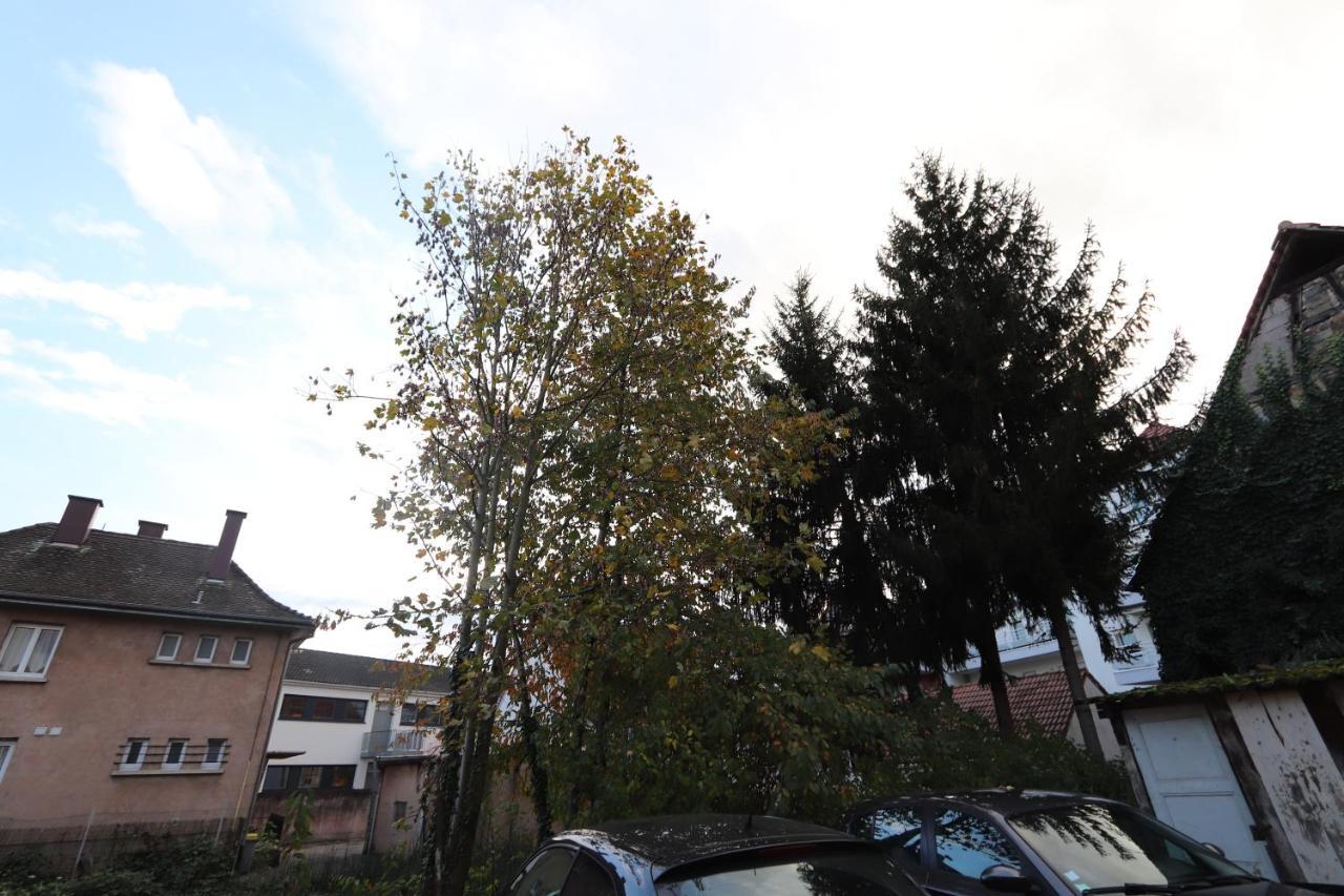 Homeday Cultivateur N°2 Appartement Type F3 阿格诺 外观 照片